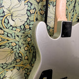 Fender Boxer Series Telecaster Inca Silver MIJ