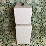 Tyler Amps 20-20 Head & 1x12 Cab