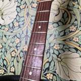 Fender Standard Roland Ready VG Stratocaster Black 2008