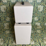 Tyler Amps 20-20 Head & 1x12 Cab