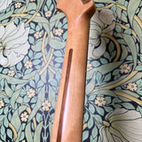 Fender Standard Roland Ready VG Stratocaster Black 2008