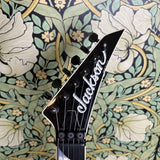 Jackson USA San Dimas Soloist 1986