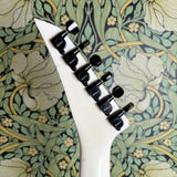 Jackson USA San Dimas Soloist 1986