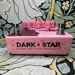 Old Blood Noise Endeavors Dark Star Stereo Soundscape Reverb - Pink