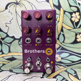 Chase Bliss Brothers AM - Used