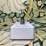 Greer Amps Special Request - Used