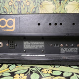 Moog Multimoog 1981