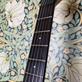 Ibanez JBBM30 JB Brubaker Signature Guitar