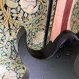 Ibanez JBBM30 JB Brubaker Signature Guitar