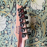 Ibanez JBBM30 JB Brubaker Signature Guitar