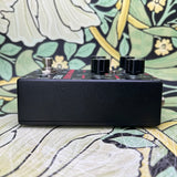 Electronic Audio Experiments Mirror House V1 - Used