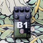 AMT Legend Amps B1 - Used