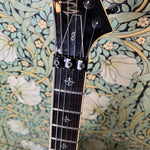 Washburn Idol WI-50V 2008