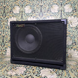 Bergantino EX112S Cabinet