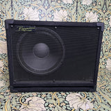 Bergantino EX112S Cabinet
