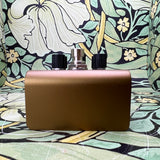 Strymon Olivera Vintage Oil Can Delay