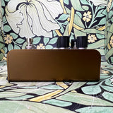 Strymon Olivera Vintage Oil Can Delay