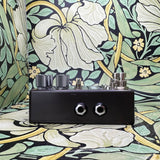 Chase Bliss Gravitas Analog Tremolo