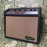 Epiphone EA-33 RVT Galaxie Amp 1963