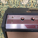 Epiphone EA-33 RVT Galaxie Amp 1963