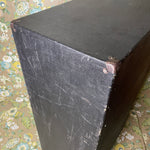 Sunn 2x15 Cab (JBL D15S)