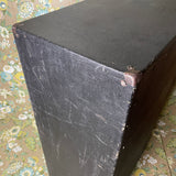 Sunn 2x15 Cab (JBL D15S)