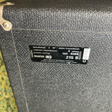 Sunn Sorado Amp Head + 2x15 Cabinet