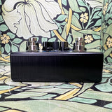 Source Audio Encounter Ambient Delay + Reverb