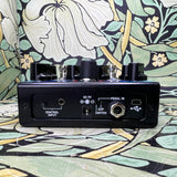 Source Audio Encounter Ambient Delay + Reverb