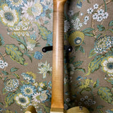 Revelator Guitars RetroSonic T-Style