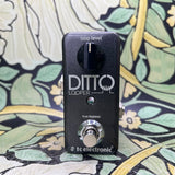 TC Electronic Ditto - Used