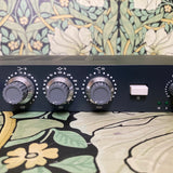 Warm Audio WA73-EQ Mic Preamp & EQ