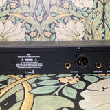 Warm Audio WA73-EQ Mic Preamp & EQ