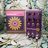 Chase Bliss Brothers AM - Used