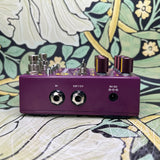 Chase Bliss Brothers AM - Used