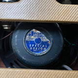 Gibson GA-20T Ranger Combo Amp 1961