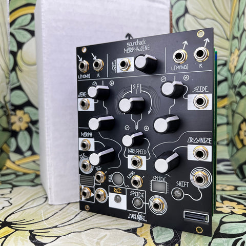 Make Noise Morphagene Module