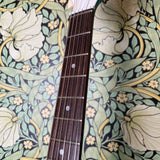 Supro 1570-WB Sahara Wedgwood Blue Metallic