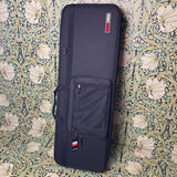 Revelator Guitars RetroSonic Transparent Butterscotch Black Guard