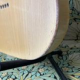 Revelator Guitars RetroSonic Transparent Butterscotch Black Guard