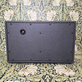 Sam Hill Custom 2x10 Speaker Cabinet