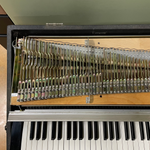 Fender Rhodes Mark II Stage Piano Seventy-Three 1982