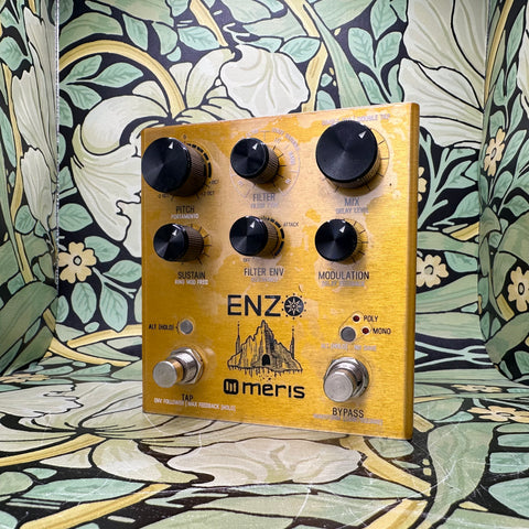 Meris Enzo