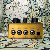 Meris Enzo