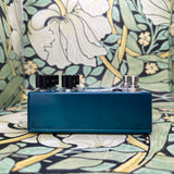 Walrus Audio Fathom Reverb