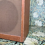 Magnatone Lyric Custom 262
