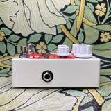 EarthQuaker Devices Gary - Used