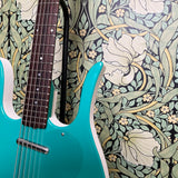 Jerry Jones Longhorn Bass VI