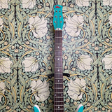 Jerry Jones Longhorn Bass VI