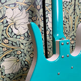 Jerry Jones Longhorn Bass VI